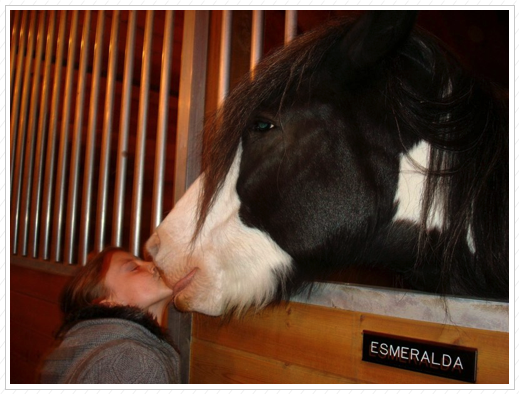 After forage kisses! After forage kisses!